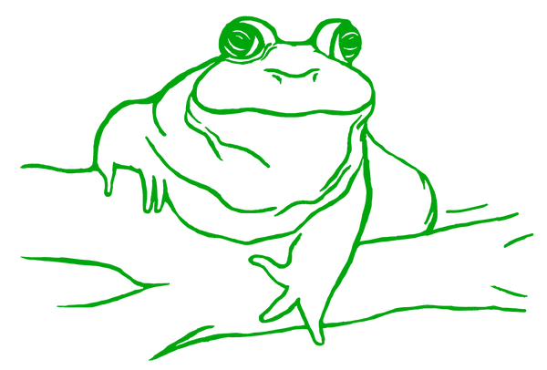 Bullfrog Designs